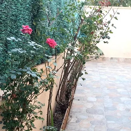 Arco Mediterraneo Independiente Торевьиа